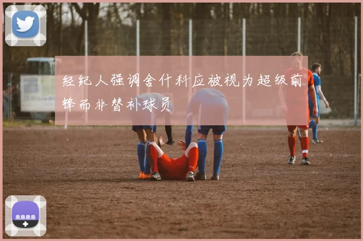 经纪人强调舍什科应被视为超级前锋而非替补球员