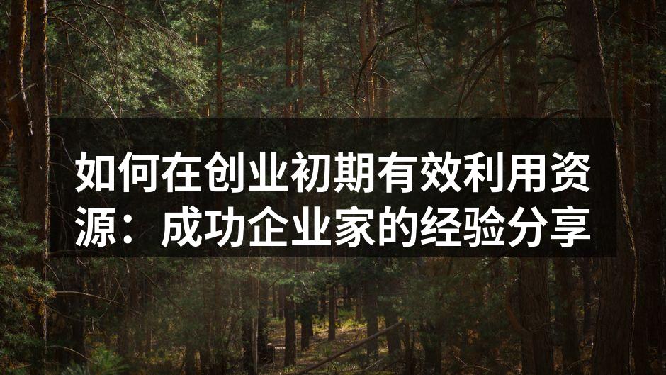 如何在创业初期有效利用资源：成功企业家的经验分享