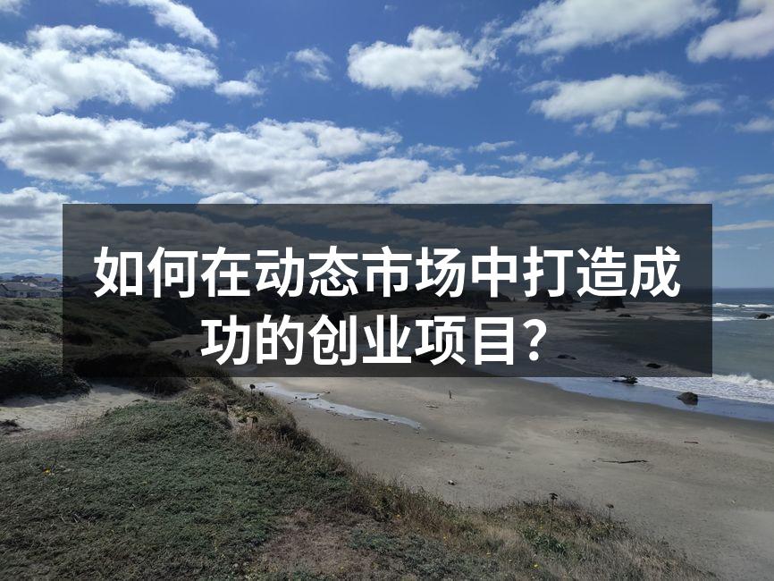 如何在动态市场中打造成功的创业项目？
